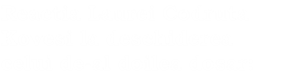 Reactia Laurei Codruta Kovesi la deschiderea celui de-al doilea dosar:  